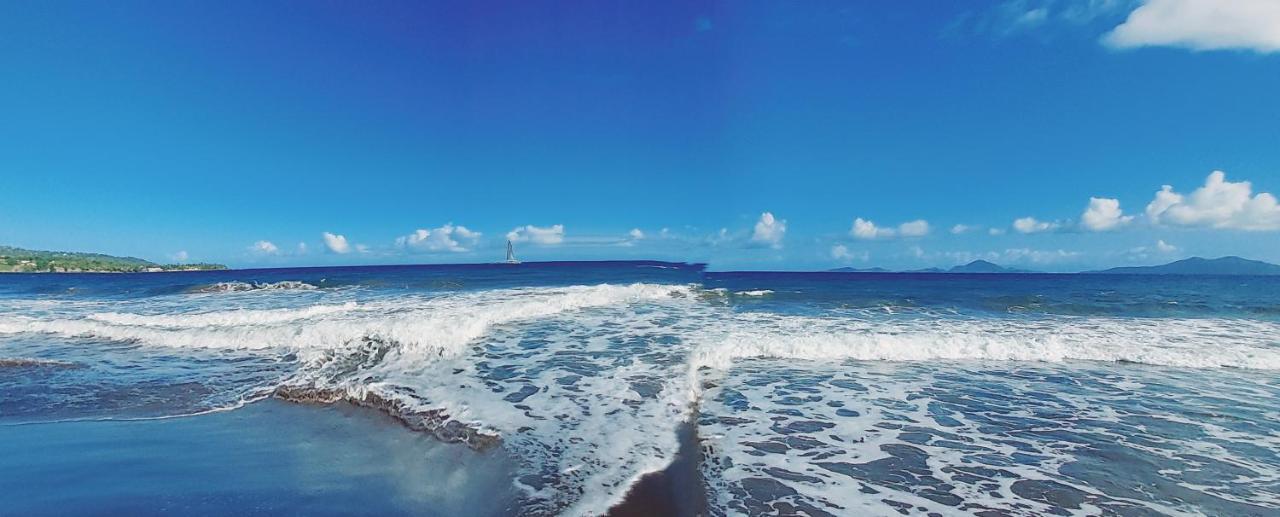 Grande Anse - Les Cocotiers Bed & Breakfast Trois-Rivieres Ngoại thất bức ảnh